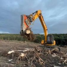 Расчистка территорий от деревьев и пней от 1 Га на itebe.ru [3]