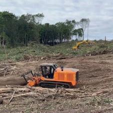 Расчистка территорий от деревьев и пней от 1 Га на itebe.ru [3]