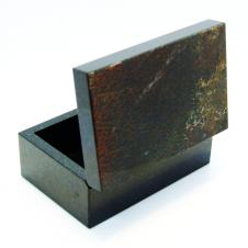 Динозавр-Коллекционная Шкатулка из окаменевшей кости-камня Динобон на itebe.ru [2]