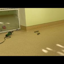 Напольные покрытия на itebe.ru [2]