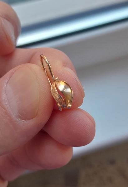 Сережка